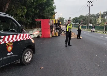Truk bernuatan beras terguling