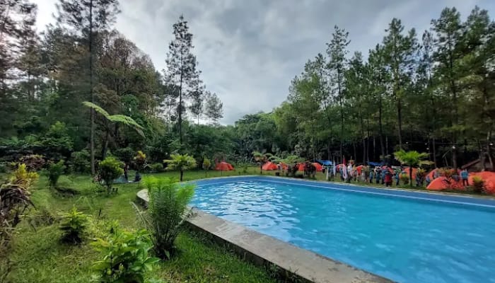 Wisata wajak