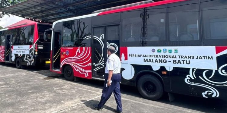 Armada bus Trans Jatim yang akan beroperasi di Kota Malang. (Foto/ist)
