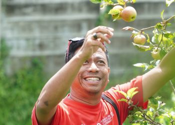 Peserta ICCF 2025 saat menikmati apel langsung dari pohonnya di Kota Batu. Foto: Istimewa