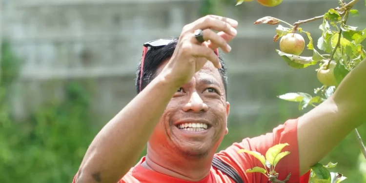 Peserta ICCF 2025 saat menikmati apel langsung dari pohonnya di Kota Batu. Foto: Istimewa