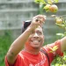 Peserta ICCF 2025 saat menikmati apel langsung dari pohonnya di Kota Batu. Foto: Istimewa