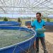 Petani ikan nila dan lele di Kabupaten Malang. Foto: Aisyah Nawangsari Putri