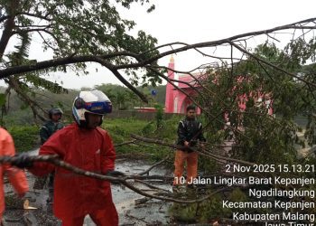 Petugas mengevakuasi pohon tumbang di Jalibar Kepanjen. Foto: BPBD Kabupaten Malang