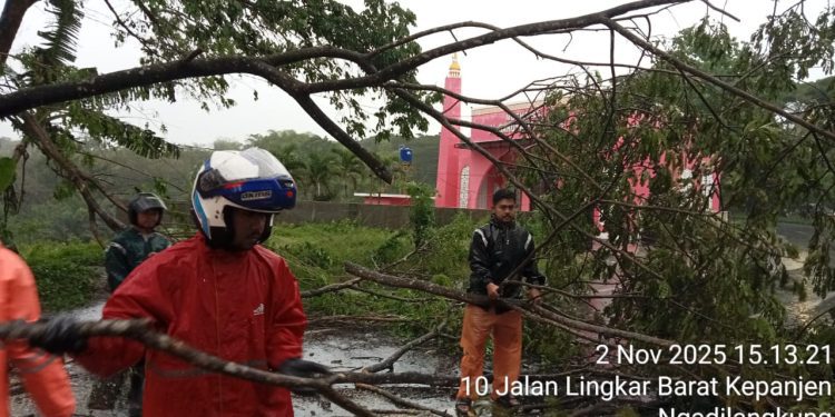 Petugas mengevakuasi pohon tumbang di Jalibar Kepanjen. Foto: BPBD Kabupaten Malang