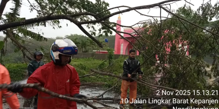 Petugas mengevakuasi pohon tumbang di Jalibar Kepanjen. Foto: BPBD Kabupaten Malang