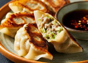 makan gyoza