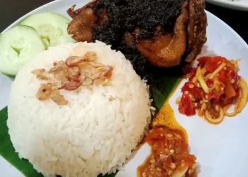 Ilustrasi Bebek Carok Malang. Foto/Pinterest