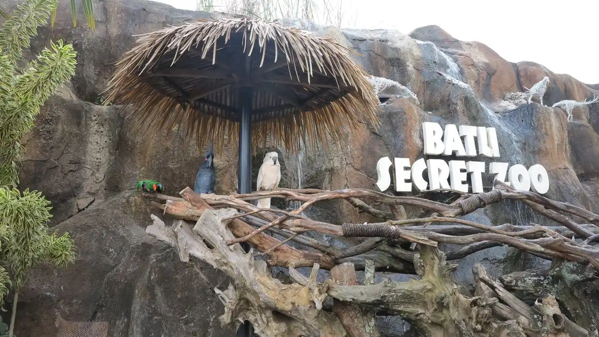 Burung di Batu secret zoo