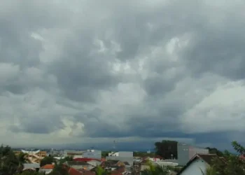 Informasi prakiraan cuaca Malang, khususnya Kota Malang hari Senin, 24 November 2025 yang diperkirakan dalam kondisi hujan ringan. /Foto: Tugumalang.id/Bagus Rachmad Saputra