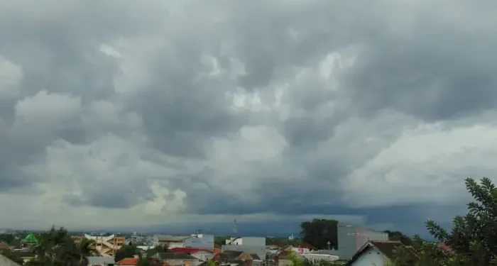 Informasi prakiraan cuaca Malang, khususnya Kota Malang hari Senin, 24 November 2025 yang diperkirakan dalam kondisi hujan ringan. /Foto: Tugumalang.id/Bagus Rachmad Saputra