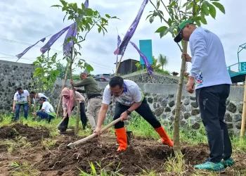 Sumber mata air