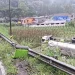 Truk terguling muat susu sapi