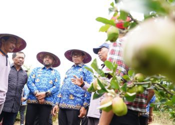 Wali Kota dan Wawali Kota Batu Nurochman - Heli saat meninjau perkebunan apel di Dusun Besta, Tulungrejo. Foto: Prokopim KWB