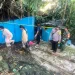 Bangunan kamar mandi umum tertimpa pohon beringin. Foto: Polsek Lawang