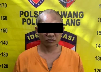 Tersangka curanmor yang beraksi di Desa Bedali, Kecamatan Lawang. Foto: Polres Malang