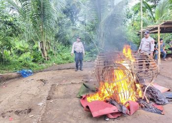 Polisi membakar kurungan ayam yang ditemukan di arena judi sabung ayam di Dampit. Foto: Polres Malang