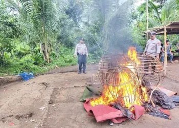 Polisi membakar kurungan ayam yang ditemukan di arena judi sabung ayam di Dampit. Foto: Polres Malang