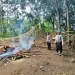 Polisi bongkar arena judi sabung ayam di Singosari. Foto: Polres Malang