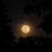 Fakta menarik Supermoon Cold Moon pada 4-5 Desember 2025, fenomena bulan purnama terakhir tahun ini yang lebih besar dan terang. /Foto: Pinterest