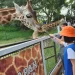 Rekomendasi mini zoo di Malang yang cocok dijadikan destinasi wisata bersama keluarga di momen libur akhir tahun 2025. /Foto: Google Review Batu Secret Zoo/Nana Diyana.