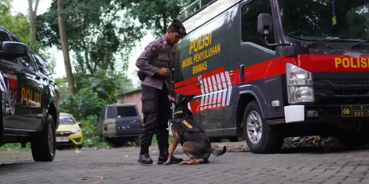 Anjing K9