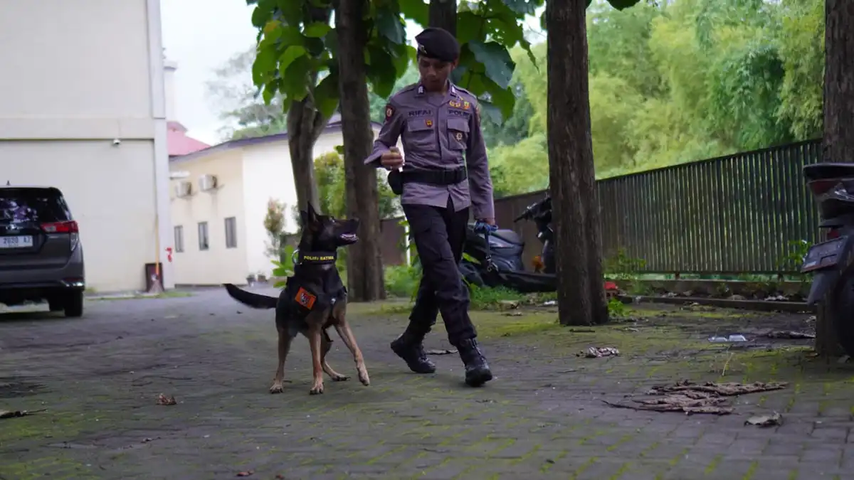 Anjing K9