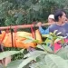 Lansia perempuan ditemukan tewas di tepi sungai