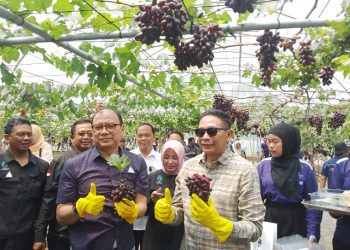 Wali Kota Malang, Wahyu Hidayat meresmikan wisata edukasi petik anggur di Kota Malang. (Foto/M Sholeh)