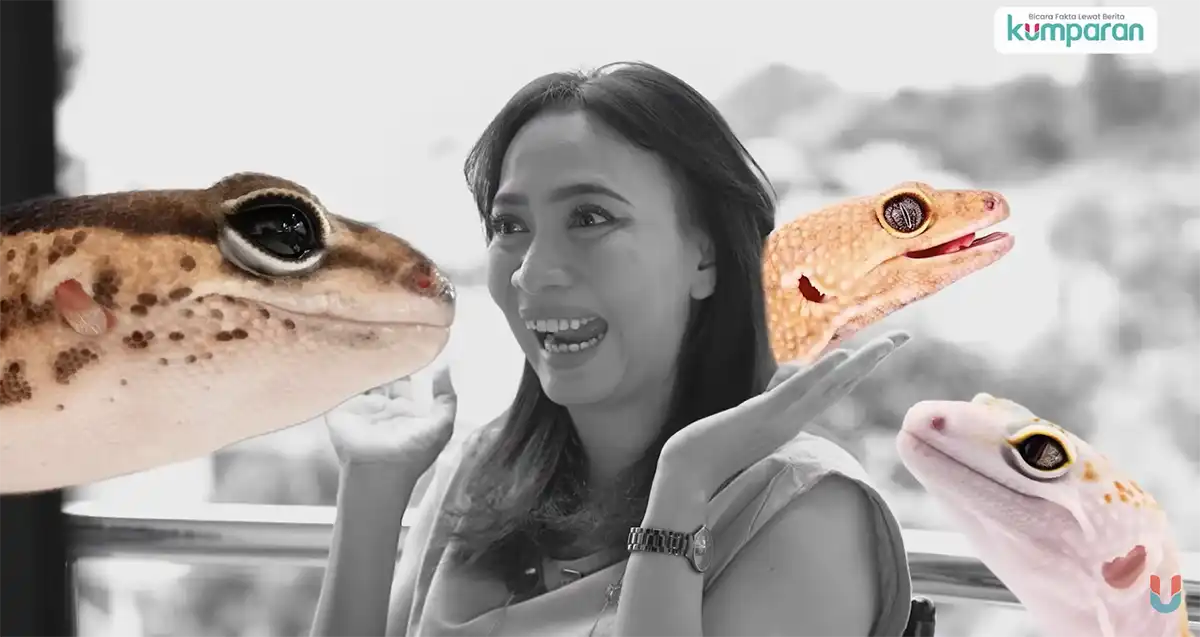 HIV dan Tokek
