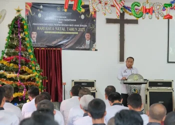 Napi lapas malang