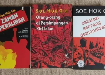buku Soe Hok Gie