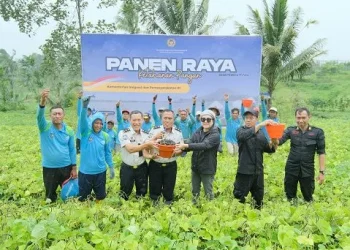 Lapas Malang dan warga binaannya melakukan panen raya untuk disalurkan ke Sumatera. (Foto/Dok. Lapas Malang)