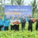 Lapas Malang dan warga binaannya melakukan panen raya untuk disalurkan ke Sumatera. (Foto/Dok. Lapas Malang)