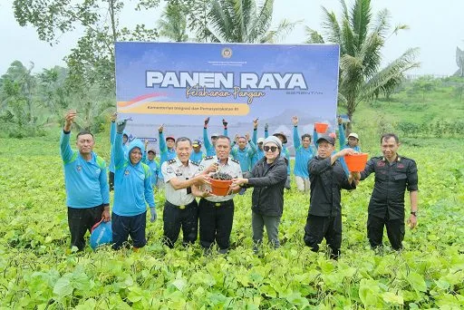 Lapas Malang dan warga binaannya melakukan panen raya untuk disalurkan ke Sumatera. (Foto/Dok. Lapas Malang)