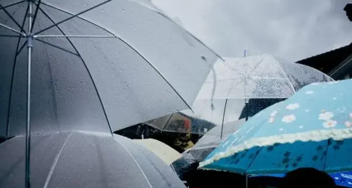 Prakiraan cuaca Malang, terutama di Kota Malang pada Rabu 28 Januari 2026 diperkirakan mengalami hujan ringan. /Foto: Pinterest/Camila Mendoca Fornari