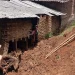 Longsor timpa kandang dan rumah warga di Lawang. Foto: BPBD Kabupaten Malang