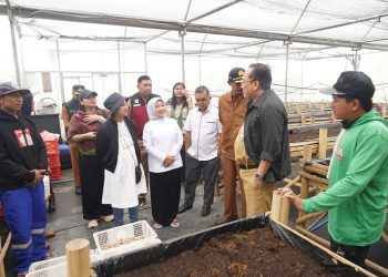 Wakil Bupati Malang, Lathifah Shohib meninjau screen house budidaya kentang di Desa Ngadas. Foto: Pemkab Malang