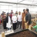 Wakil Bupati Malang, Lathifah Shohib meninjau screen house budidaya kentang di Desa Ngadas. Foto: Pemkab Malang