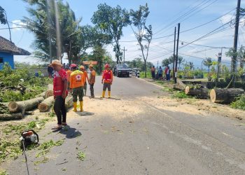 Petugas membersihkan pohon tumbang yang sempat menutupi jalan. Foto: BPBD Kabupaten Malang