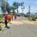 Petugas membersihkan pohon tumbang yang sempat menutupi jalan. Foto: BPBD Kabupaten Malang