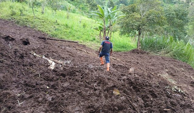 Longsor di Jabung belum berhasil dibersihkan. Foto: BPBD Kabupaten Malang