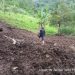 Longsor di Jabung belum berhasil dibersihkan. Foto: BPBD Kabupaten Malang