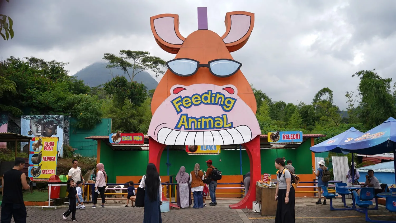 Sensasi feeding satwa sambil istirahat di Rest Area Drive Thru Park. Foto: Dok. Jatim Park