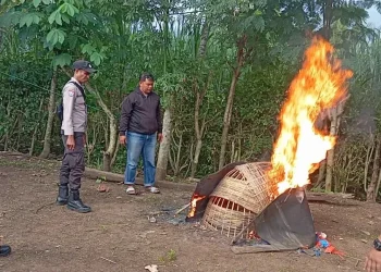 Polisi musnahkan sarana yang digunakan untuk judi sabung ayam di Kalipare. Foto: Polres Malang