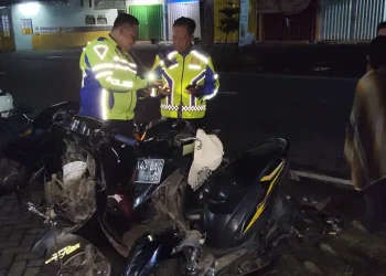 Adu banteng motor