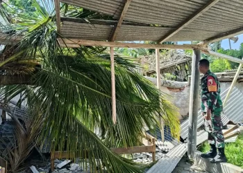 Angin kencang bikin Pohon tumbang