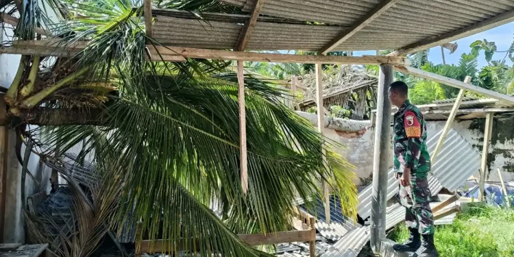 Angin kencang bikin Pohon tumbang