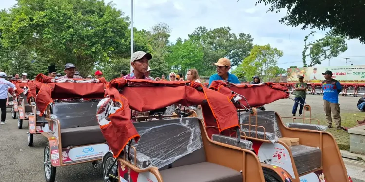 Bantuan becak listrik