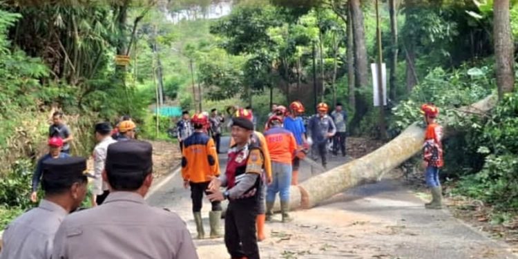 Bencana di Kota Batu